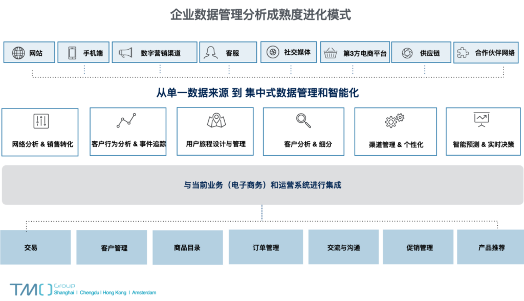 企业数据管理分析成熟度进化模式