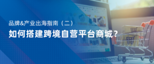 品牌&产业出海指南（二）如何搭建跨境电商自营型平台？