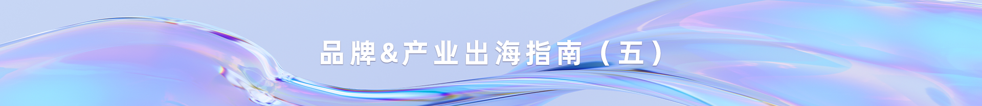 品牌&产业出海指南（五）如何搭建国际化架构的跨境电商平台？