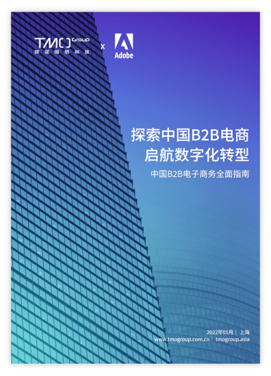TMO出品的《中国B2B电子商务指南》。 