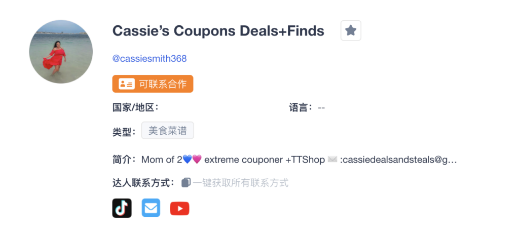 出海网红营销